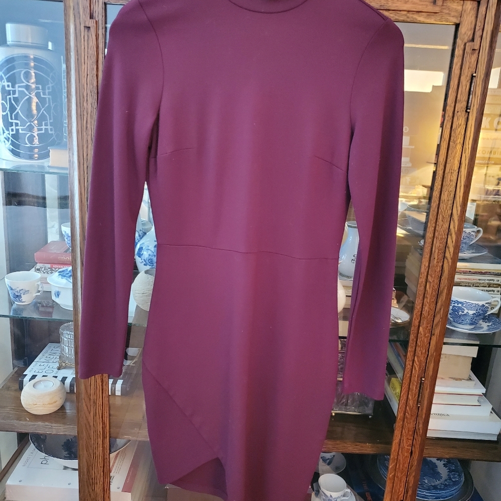 DYNAMITE Burgundy Mini Dress